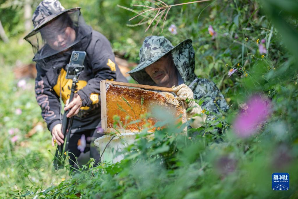 大红鹰彩票欢迎你